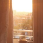 resized_119613
