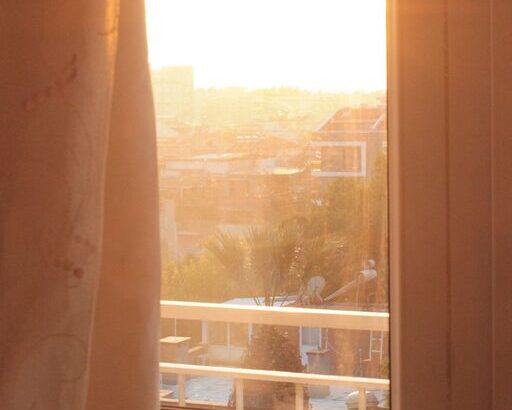 resized_119613